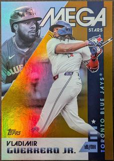 Vladimir Guerrero Jr.