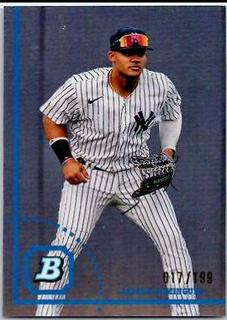 Jasson Dominguez