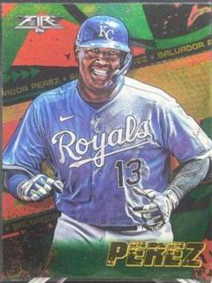 Salvador Perez