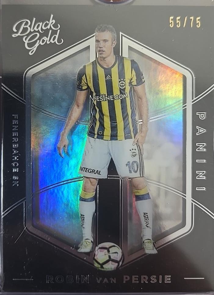 Robin van Persie [Uncommon] #51