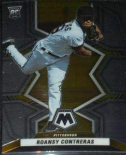 Roansy Contreras