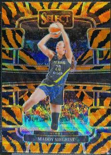 Maddy Siegrist