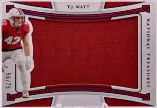 T.J. Watt