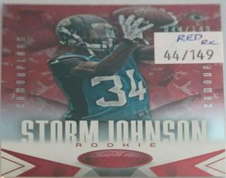 Storm Johnson
