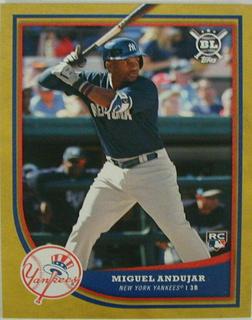Miguel Andujar