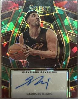 Georges Niang