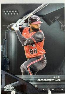 Luis Robert Jr.