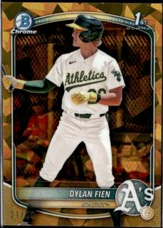 Dylan Fien