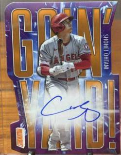 Shohei Ohtani