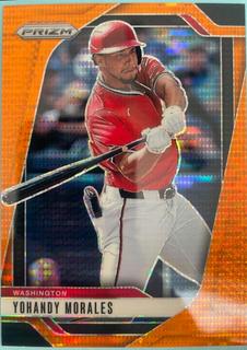 Yohandy Morales