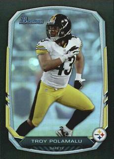 Troy Polamalu