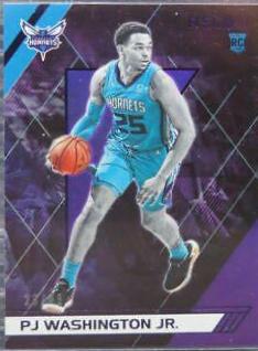 PJ Washington Jr.
