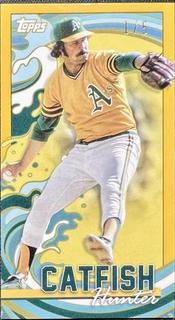 Catfish Hunter