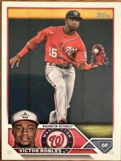 Victor Robles