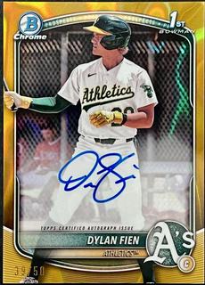 Dylan Fien