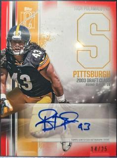 Troy Polamalu