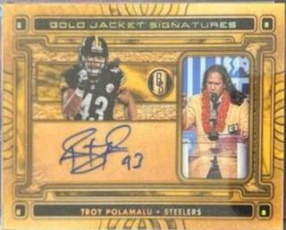 Troy Polamalu