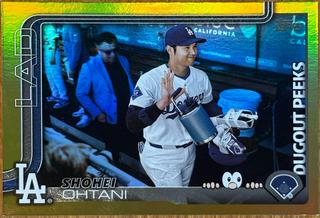Shohei Ohtani
