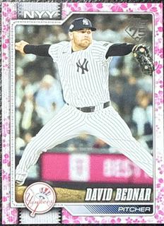 David Bednar