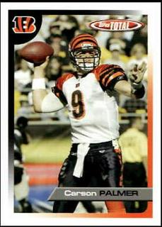Carson Palmer