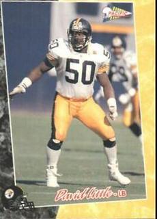 David Little