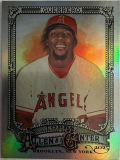 Vladimir Guerrero