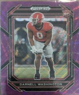 Darnell Washington