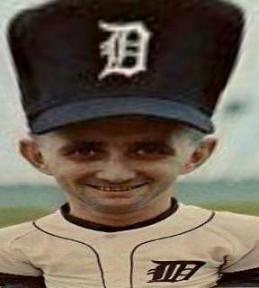 Don Wert