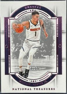 Michael Porter Jr.
