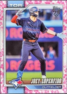 Joey Loperfido