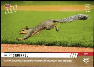 Rally Squirrel