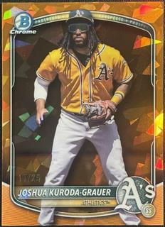Joshua Kuroda-Grauer