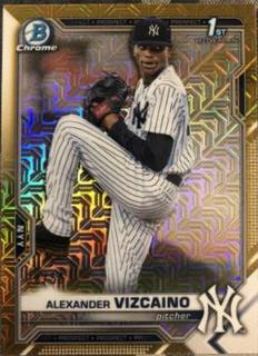 Alexander Vizcaino