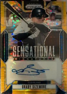 Grady Sizemore