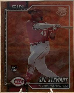 Sal Stewart