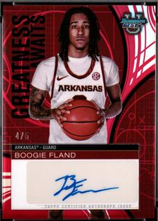 Boogie Fland