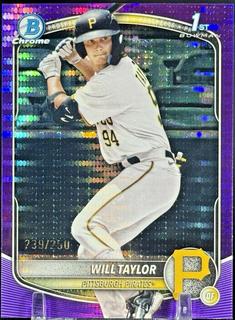 Will Taylor