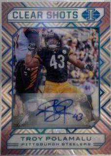 Troy Polamalu