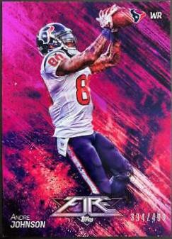 Andre Johnson [Purple] #15