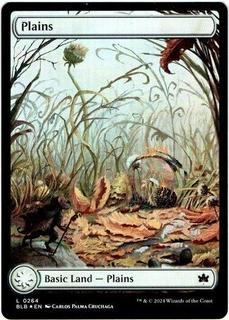 Plains
