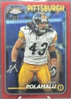 Troy Polamalu