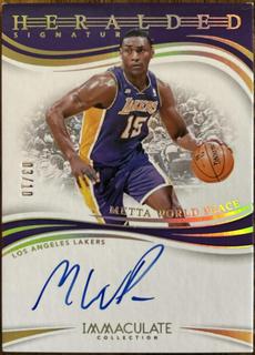 Metta World Peace