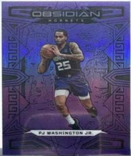 PJ Washington Jr.