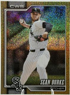 Sean Burke