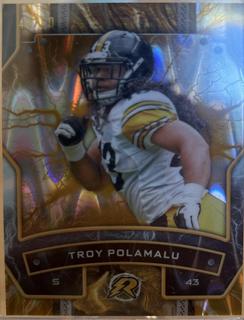 Troy Polamalu