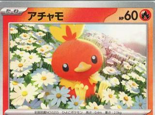 Torchic
