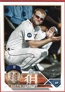 Austin Meadows