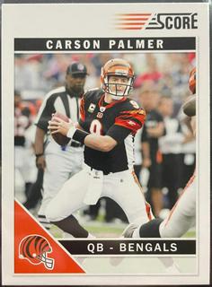 Carson Palmer