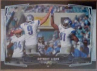 Detroit Lions