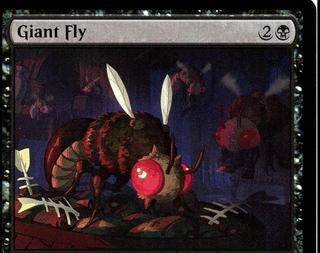 Giant Fly